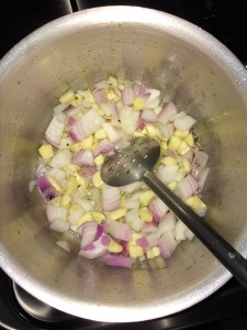 Add chopped onion and garlic.