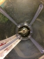 Add pepper to the blender.