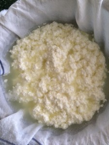 Now put a muslin cloth over the strainer and then pour the curdled milk.
