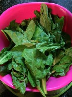 Take the spinach and clean with water several times to get rid of the sand and dirt.