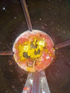 Add the sambar powder, tamarind paste and the salt to this and give it a pulse.