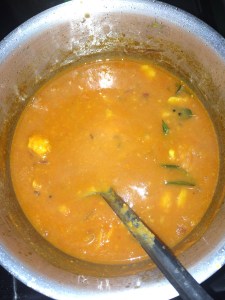 Check the taste and adjust accordingly. Cover and cook until the oil oozes out.