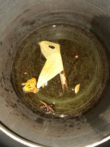 Add all the whole garam masala's.